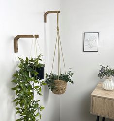 two hanging planters with plants in them next to a wall