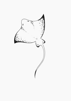 a black and white drawing of a manta ray