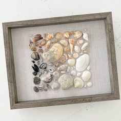 a shadow frame with sea shells in it