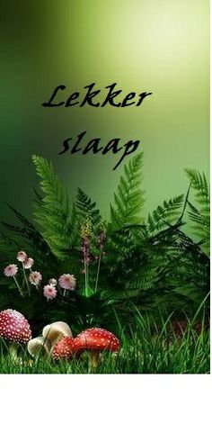 an image of a green background with flowers and mushrooms in the foreground that reads, leker slap