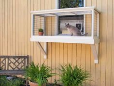 a cat sitting on top of a window sill in front of a wooden building