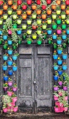 many potted plants on the side of a building