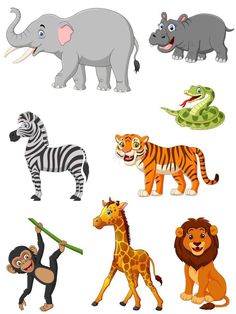 an image of wild animals on white background