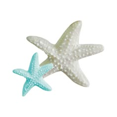 two white and blue starfishs on a white background