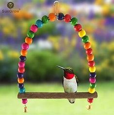 a colorful bird sitting on top of a wooden bench next to a rainbow colored arch