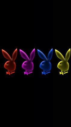 four different colored plastic rabbits on a black background