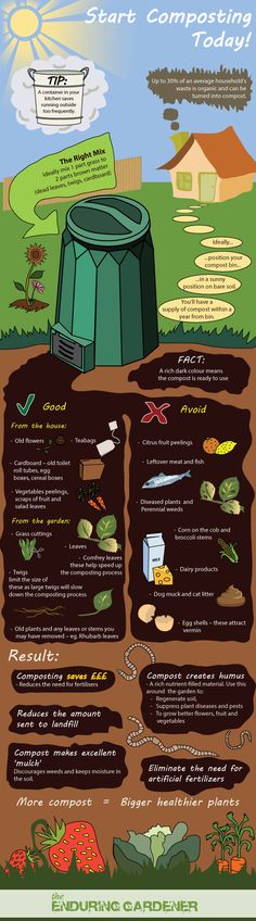 an info poster showing how to start composting