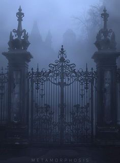 an iron gate with statues on it in the fog