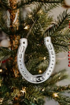 an ornament hanging from a christmas tree with the word luck written on it