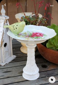 a bird sitting on top of a white plate next to potted plants and flowers