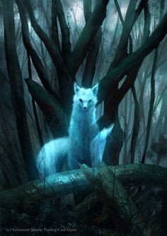 a white wolf sitting in the middle of a forest