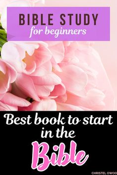 pink flowers with the words bible study for beginners best book to start in the bible