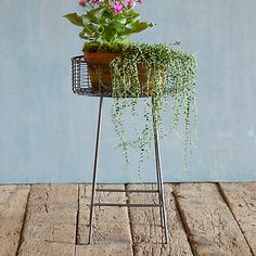 a potted plant sitting on top of a metal stand