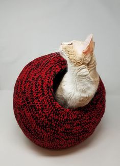 a cat sitting in a red and black crocheted bed on top of a white table