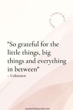 a quote that says so grateful for the little things, big things and everything in between