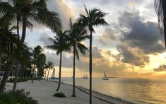 palm trees line the beach as the sun sets in the distance with sailboats on the water