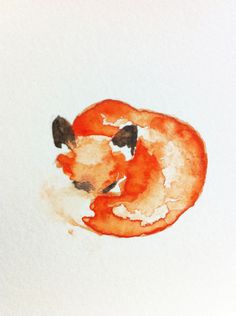 a drawing of a red fox curled up in a circle with its head on the ground