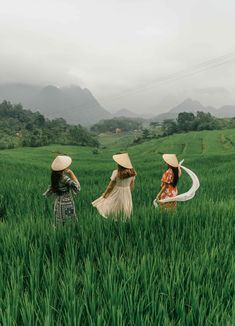 three women in hats are walking through the tall green grass with mountains in the background