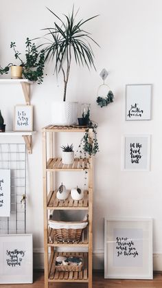 a room with some plants and pictures on the wall