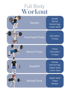 the full body workout chart shows how to use dumbbells and barbell rows