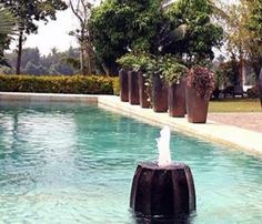 an elephant statue in the middle of a pool with trees and bushes around it,