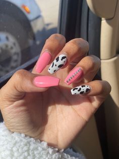 Rodeo Nails Westerns Pink, Nashville Nails Ideas Spring, Pink Nashville Nails, Pink And Cow Print Nails, Hot Pink Cow Print Nails, Pink Cowprint Nails, Country Concert Nails Ideas, Pink Western Nails