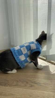 a black and white cat wearing a blue and white sweater looking through a window sill