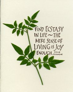 a piece of paper with a quote on it that says, find easy in life the mere sense of living is joy enough