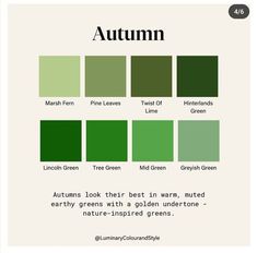 the color scheme for autumn is green and has an interesting contrast to it with other colors