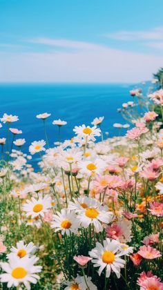 the flowers are blooming on the hillside by the water's edge, with blue skies in the background