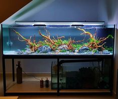 a fish tank with plants and rocks in it on top of a shelf next to a wall