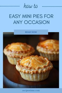 three mini pies with the title how to easy mini pies for any occasion