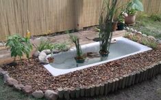 a bathtub filled with water surrounded by rocks and plants