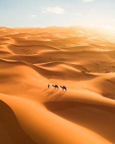 three people riding camels in the desert