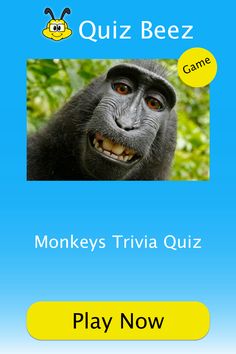 an animal quiz game with the words monkey's trivia quiz