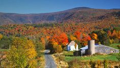 an autumn scene with colorful trees in the background and a farm on the other side