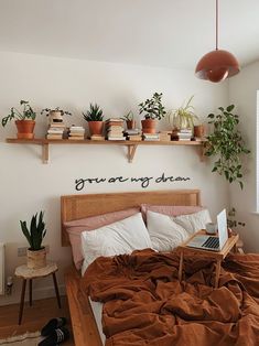 a bed topped with lots of plants next to a wooden shelf filled with potted plants