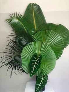 a green plant in a white vase sitting on a table