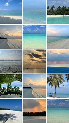 many different pictures of the ocean with trees and clouds in them, including palm trees