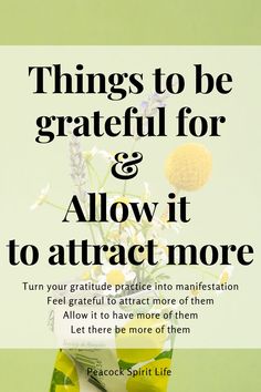 Things to be grateful & Allow it to attract more
Turn your gratitude practice into manifestation
Feel grateful to attract more of them
Allow it to have more of them
Let there be more of them
Peacock Spirit Life Follow Dreams, Health Lifestyle, Gratitude Journal