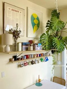 there is a potted plant in the corner of this room with shelves on the wall