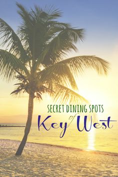 a palm tree on the beach with text overlay saying secret dining spots key west