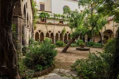 an outdoor courtyard with trees and plants surrounding the area, surrounded by stone walkways