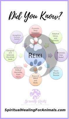 Self Reiki, Excited Animals, How To Start Meditating, Let Go Of Anger, What Is Reiki, State Of Consciousness, Reiki Room, Usui Reiki