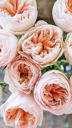 a bunch of pink flowers sitting in a vase