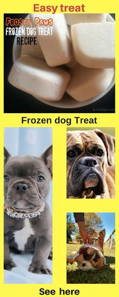 an advertisement for frozen dog treats with pictures of dogs