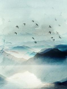 birds flying in the sky over water and mountains