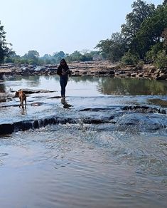 a woman and her dog are wading in the water at the edge of a river