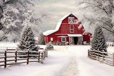 a red barn surrounded by snow covered trees