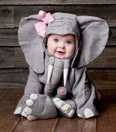 a baby is dressed in an elephant costume